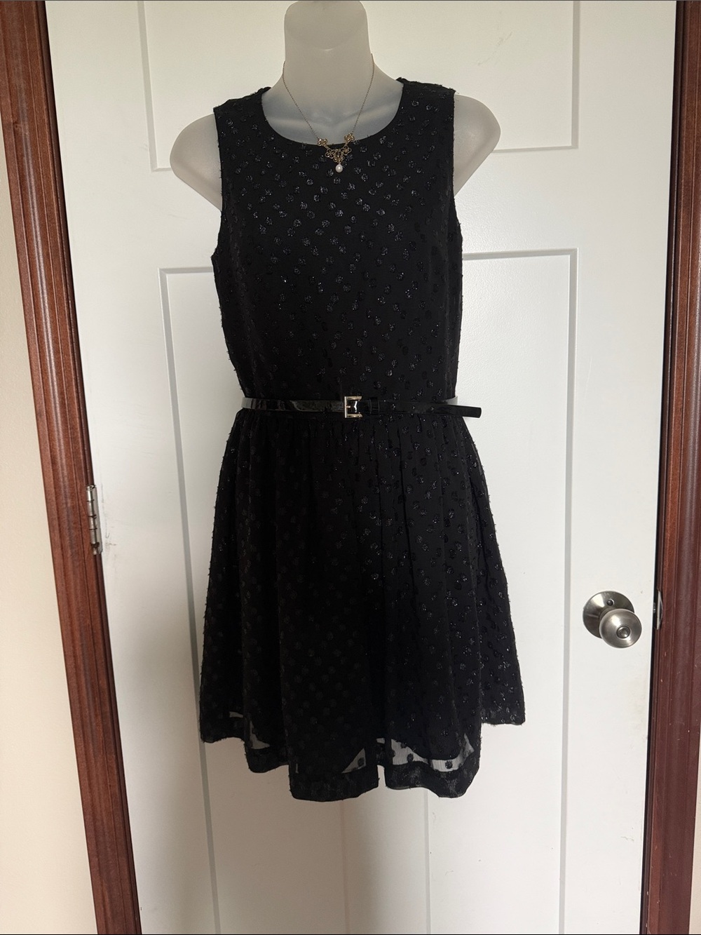 Black Sleeveless Beaded Fit-and-Flare Dress. The belt not included